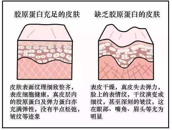 一篇大實(shí)話丨讀懂年輕五歲，速來(lái)圍觀